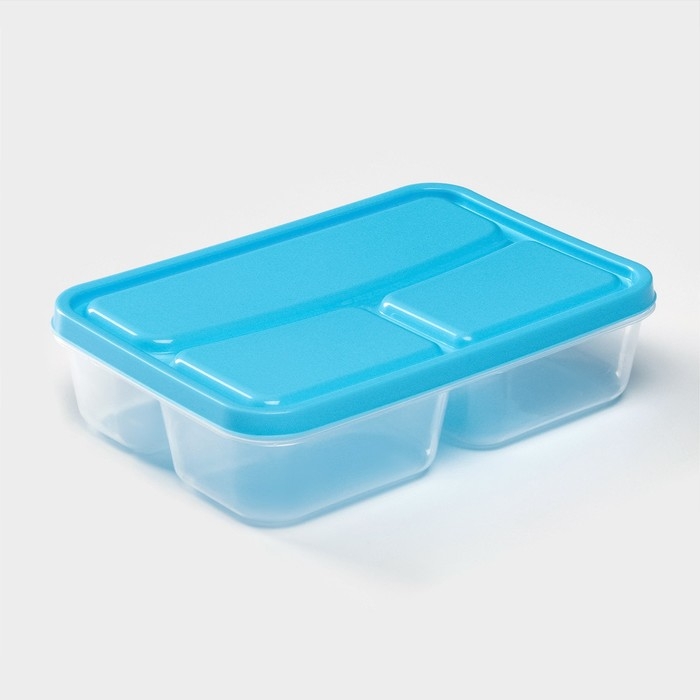 Ланч - бокс пластиковый прямоугольный, 21&times;14,5&times;5,5 см, 3 отделения, цвет МИКС