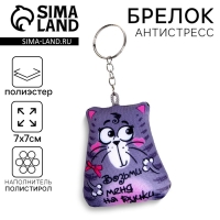 Брелок-антистресс &laquo;Возьми меня на ручки&raquo;, Кот, 7&times;7 см