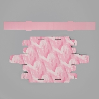 Коробка для конфет, кондитерская упаковка, 5 ячеек, &laquo;Мазки&raquo;, 5 х 21 х 3.3 см