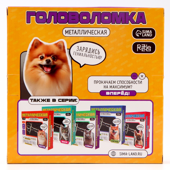 Головоломка металлическая "Стеша"