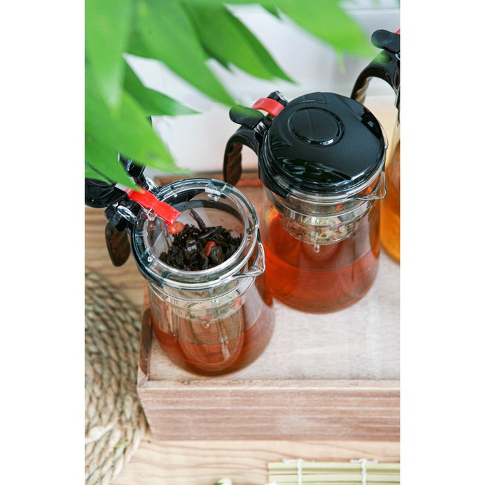 Чайник стеклянный заварочный Magistro &laquo;Мантана&raquo;, 750 мл, с пластиковым ситом