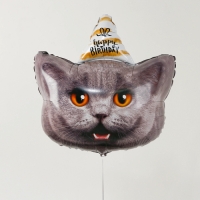 Воздушный шар фольгированный 24" «Кот — с днём рождения», с подложкой Воздушный шар фольгированный 24" «Кот — с днём рождения», с подложкой