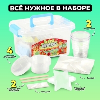 Мега набор слаймов &laquo;Фрукты&raquo;, более 25 предметов