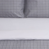 Постельное бельё Этель дуэт Gray cage 150х215см-2 шт, 225х240см, 50х70&plusmn;3 см-2 шт, новосатин
