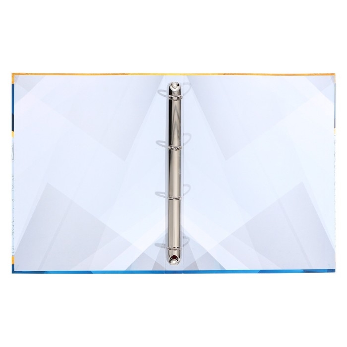 Папка школьная на кольцах &laquo;Портфолио ученика&raquo;, без разделителей, 24,5 х 32 см.