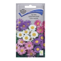 Семена цветов Астра альпийская, Смесь окрасок, 0,3гр. Семена цветов Астра альпийская, Смесь окрасок, 0,3гр.