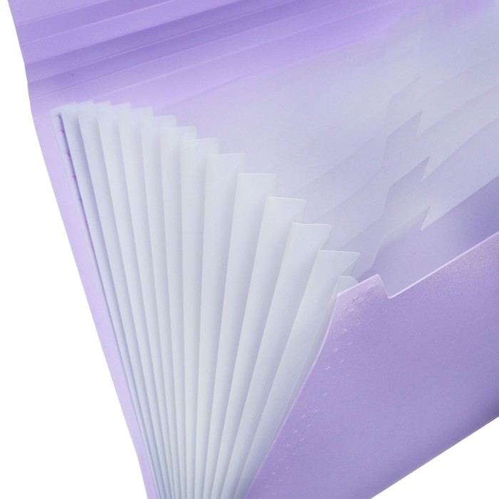 Папка картотека А4, Calligrata Папка картотека А4, Calligrata "Акварель", 13 отделений, пластиковая, 700 мкм, лавандовая, резинка чёрная