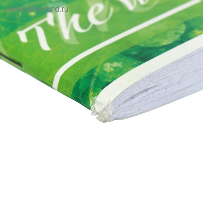 Тетрадь 96 листов в клетку Calligrata Тетрадь 96 листов в клетку Calligrata "Макро", обложка мелованный картон, блок офсет, МИКС