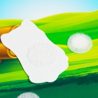 Развивающая игра на липучках &laquo;&lrm;Изучаем мир домашних животных&raquo;, методика Домана, с обучающими карточками по методике Глена Домана