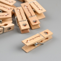 Декор для творчества дерево "Прищепка - Светлой Пасхи!" набор 10 шт Декор для творчества дерево "Прищепка - Светлой Пасхи!" набор 10 шт