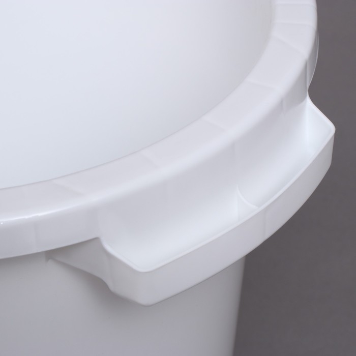 Бак пищевой, 20 л, с крышкой, цвет МИКС Бак пищевой, 20 л, с крышкой, цвет МИКС