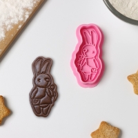 Форма для печенья &laquo;Зайка с леденцом&raquo;, вырубка, штамп, цвет розовый