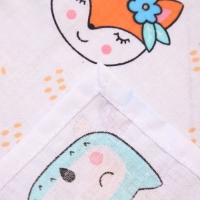 Набор платков носовых детских 18х18см, 12шт, рис 2-1290, ситец 100г/м, хл100% Набор платков носовых детских 18х18см, 12шт, рис 2-1290, ситец 100г/м, хл100%