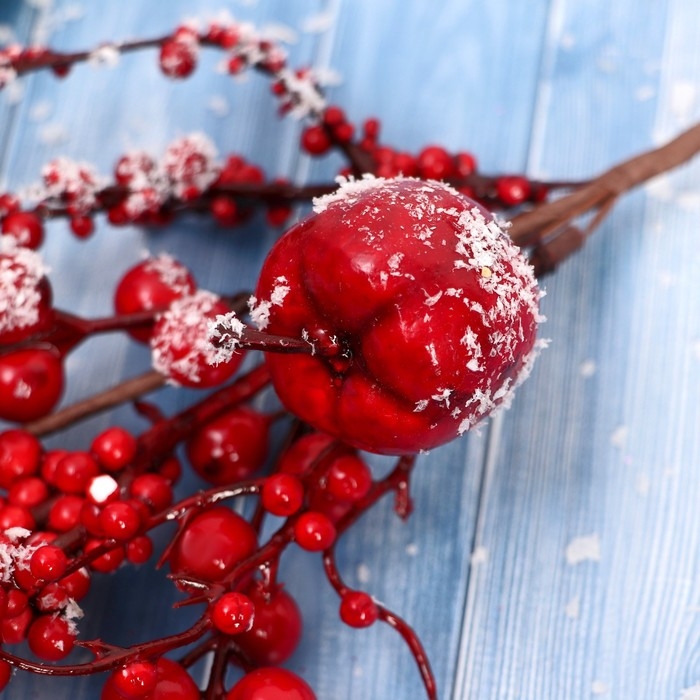 Декор "Зимнее очарование" веточка с яблочком и ягодками, 30 см