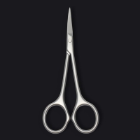 Ножницы маникюрные &laquo;Premium&raquo;, узкие, загнутые, 10,5 см, на блистере, цвет матовый серебристый