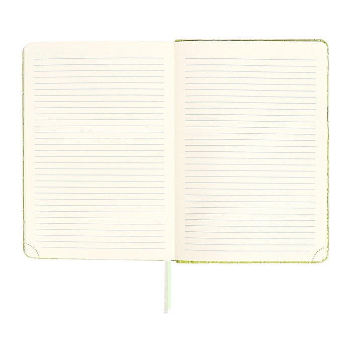 Ежедневник датированный 2025 года, A5, 168 листов, deVENTE. Barbara, твердая обложка кожзам с поролоном, перфорацией, ляссе, блок 70, зеленый