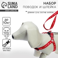 Комплект Keep calm & carry on, шлейка 36-49 см, поводок 120х1,5 см