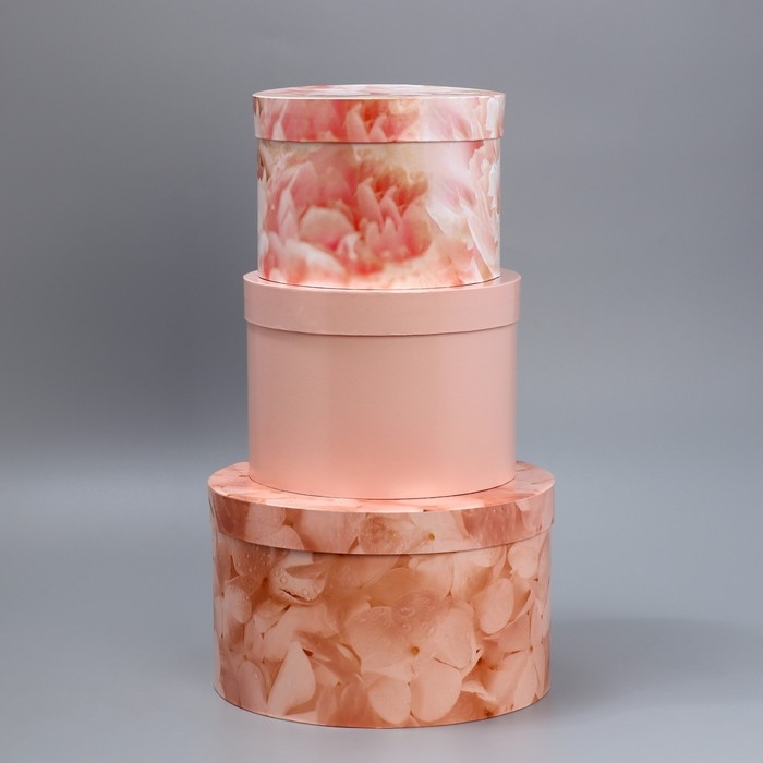 Набор шляпных коробок 3 в 1, упаковка подарочная, «Бежевый», 18 х 18 х 13‒25 х 25 х 15 см Набор шляпных коробок 3 в 1, упаковка подарочная, «Бежевый», 18 х 18 х 13‒25 х 25 х 15 см