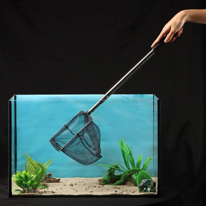Сачок аквариумный телескопический, длина до 100 см, 20 х 20 см Сачок аквариумный телескопический, длина до 100 см, 20 х 20 см
