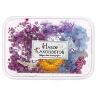 Набор для творчества &laquo;Набор сухоцветов&raquo;, большой, голубой, жёлтый, сиреневый
