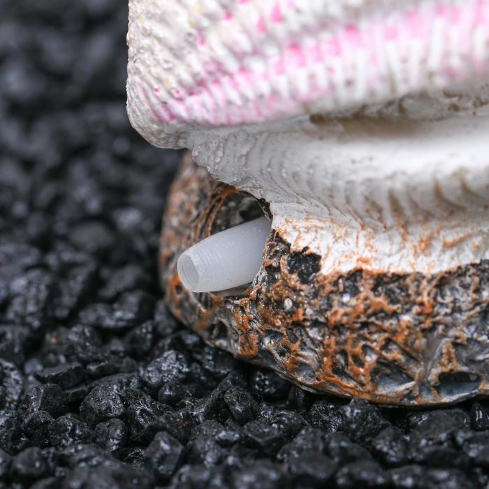 Распылитель "Раковина с жемчужиной", 5 х 3,5 х 5 см