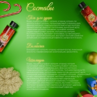 Новогодний подарочный набор косметики &laquo;Зимняя сказка&raquo;, с ароматом хвои и корицы. Красная серия