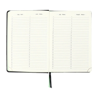 Ежедневник недатированный, A5, 136 листов, кожзам, deVENTE. Ultra, твердая обложка,тиснение фольгой, перфорация, ляссе, блок 70%, черный/зеленый