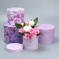 Набор шляпных коробок для цветов 4 в 1, упаковка подарочная, «Лаванда», 14 х 13 см - 20 х 17,5 см Набор шляпных коробок для цветов 4 в 1, упаковка подарочная, «Лаванда», 14 х 13 см - 20 х 17,5 см