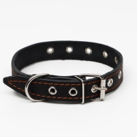 Ошейник кожаный однослойный, безразмерный, 56 х 2.5 см, ОШ 17-44 см, чёрный Ошейник кожаный однослойный, безразмерный, 56 х 2.5 см, ОШ 17-44 см, чёрный