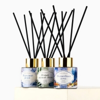 Новый год! Аромадиффузор ароматический палочки &laquo;Новогодняя коллекция: Зимний&raquo;, 50 мл