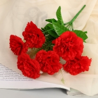 Букет "Маргаритка многолетняя" 7х26 см, микс Букет "Маргаритка многолетняя" 7х26 см, микс