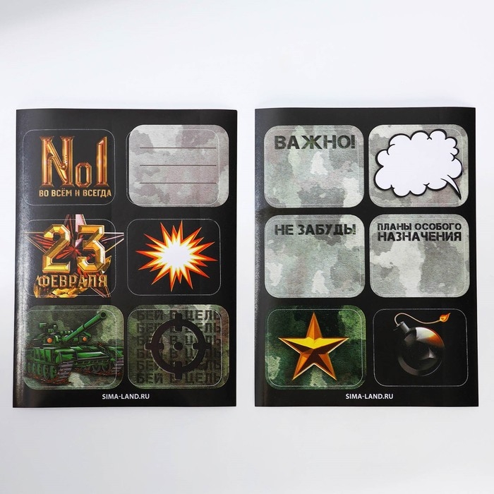 Подарочный набор &laquo;С 23 февраля&raquo;: блокнот А6 32 листа, значок, наклейки 12 шт, карандаши 2 шт