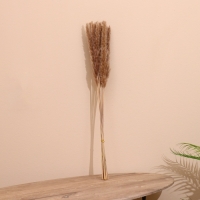 Набор сухоцветов 80 см (10 шт) натуральный