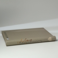 Фотоальбом &laquo;Моя беременность&raquo;, 10 магнитных листов