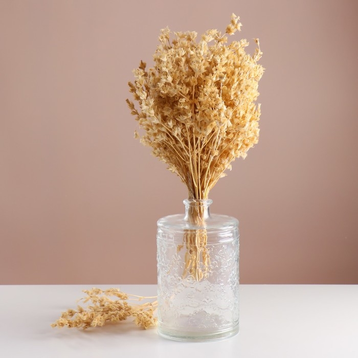 Набор сухоцветов Набор сухоцветов "Шандра", банч длина 40 (+/- 6 см), выбеленный