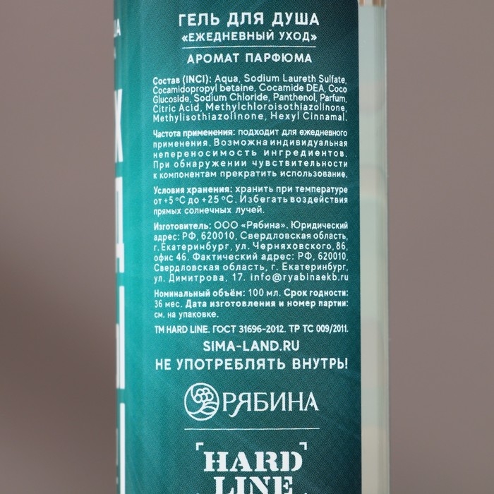 Подарочный набор косметики &laquo;Новых побед&raquo;, гель для душа и шампунь для волос, 2 х 100 мл, Новый Год