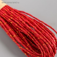 Тесьма декоративная бумага "Люрекс" намотка 10 метров набор 12 шт МИКС 21х14х2 см Тесьма декоративная бумага "Люрекс" намотка 10 метров набор 12 шт МИКС 21х14х2 см