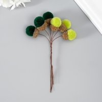 Цветы для декорирования "Хлопчик" зелёный 1 букет= 6 веточек d=2 см 11 см Цветы для декорирования "Хлопчик" зелёный 1 букет= 6 веточек d=2 см 11 см