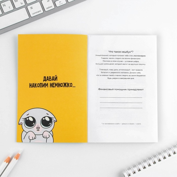 Умный блокнот CashBook А6, 68 листов «Денежный кот» Умный блокнот CashBook А6, 68 листов «Денежный кот»