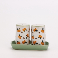 Новый год. Набор для специй &laquo;Апельсины&raquo;, 12 х 6,5 х 7 см