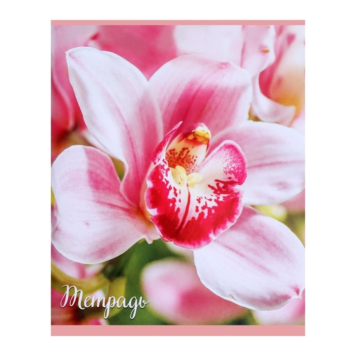 Тетрадь 96 листов в клетку Тетрадь 96 листов в клетку "Цветы", обложка мелованный картон, блок №2, белизна 75% (серые листы), МИКС