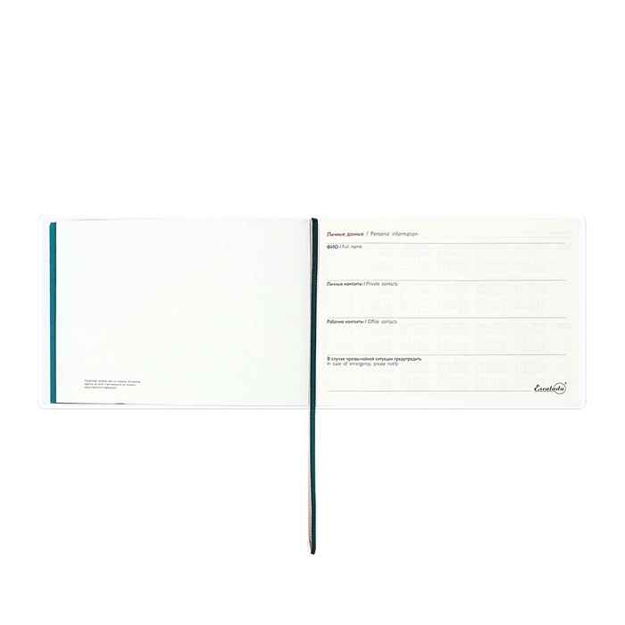 Еженедельник датир 2025г 180х127мм мягк обл ПВХ 64л ESCALADA ЗМЕЯ ЗЕЛЁНАЯ, кр бл 70 г/м&sup2;