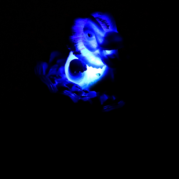 Мялка &laquo;Динозавры&raquo; световая, звуковая, виды МИКС