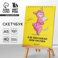 Скетчбук &laquo;Я не показываю свои рисунки&raquo; А5, 40 л, 100 г/м