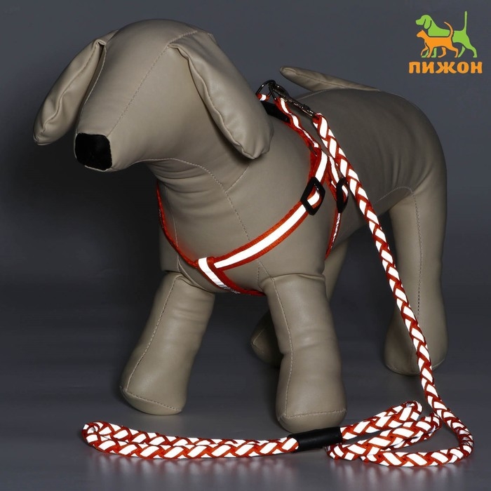 Комплект "Плетенка", флуоресцентный, поводок 115 х 1 см, ОГ 32-48 х 1,5 см, оранжевый