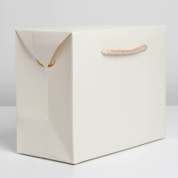 Пакет&mdash;коробка, подарочная упаковка, &laquo;Белый&raquo;, 28 х 20 х 13 см