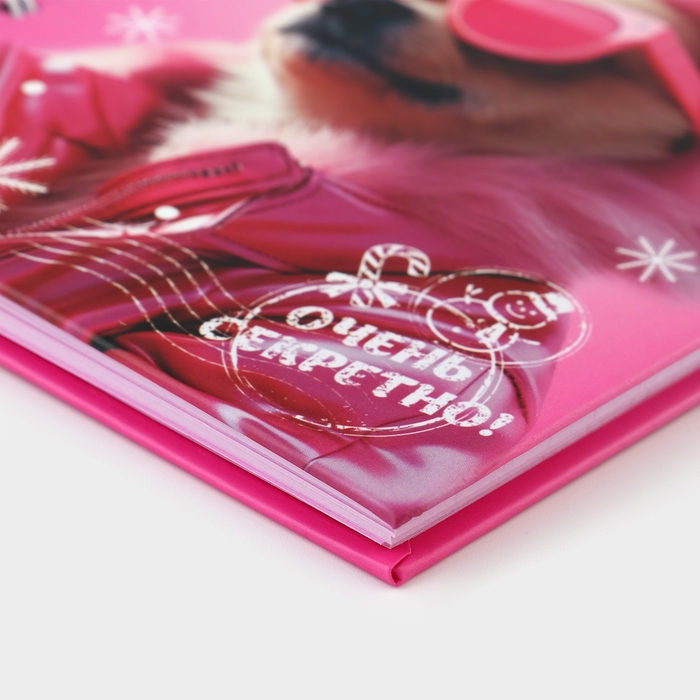 Блокнот новогодний на замочке 50 листов &laquo;Мои снежные секретики&raquo;