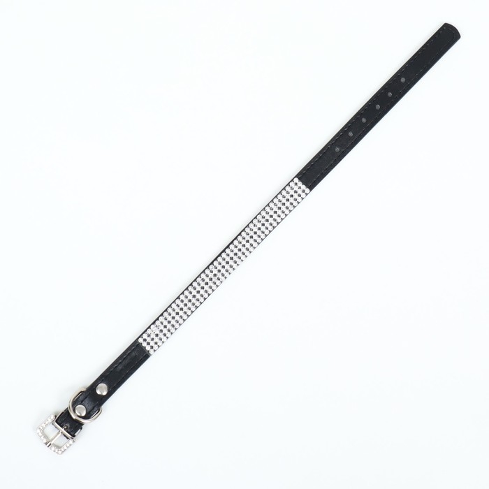 Ошейник со стразами в 4 ряда и стразы на пряжке, 38 х 1,5 см, ОШ 26-33, чёрный