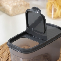 Ёмкость для сыпучих продуктов &laquo;Бест&raquo;, 1 л, 9,5&times;19&times;9,5 см, прозрачный, крышка серая