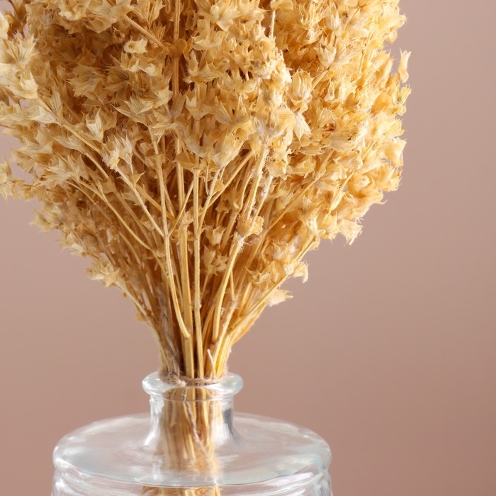Набор сухоцветов Набор сухоцветов "Шандра", банч длина 40 (+/- 6 см), выбеленный